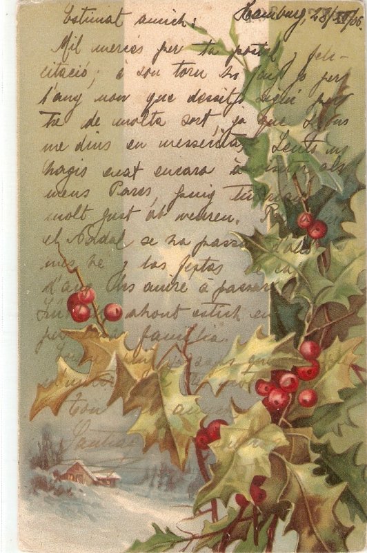 Holly Tree Fruits Old vintage German postcard