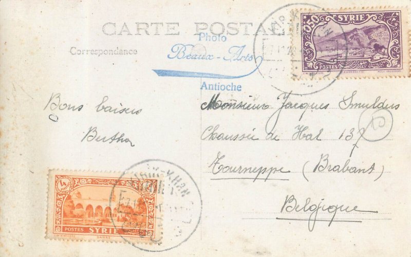 Syria Antioch photographic postcard tree