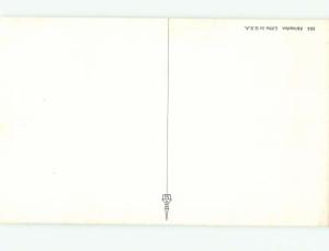 Pre-1980 BEAUTIFUL CARDINAL BIRDS AC7045