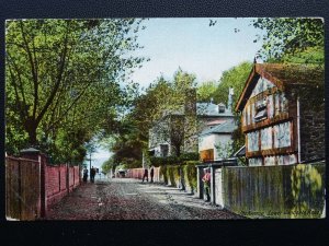 Kent FOLKESTONE The Avenue, Radnor Cliff, Lower Sandgate Road c1906 Postcard