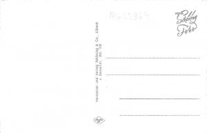 BG22964 gruss aus   wolfenbuttel germany CPSM 14x9cm