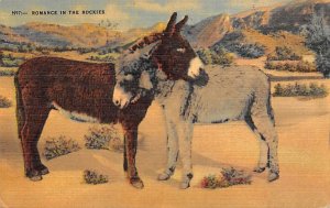 Romance In The Rockies Donkey 1948 