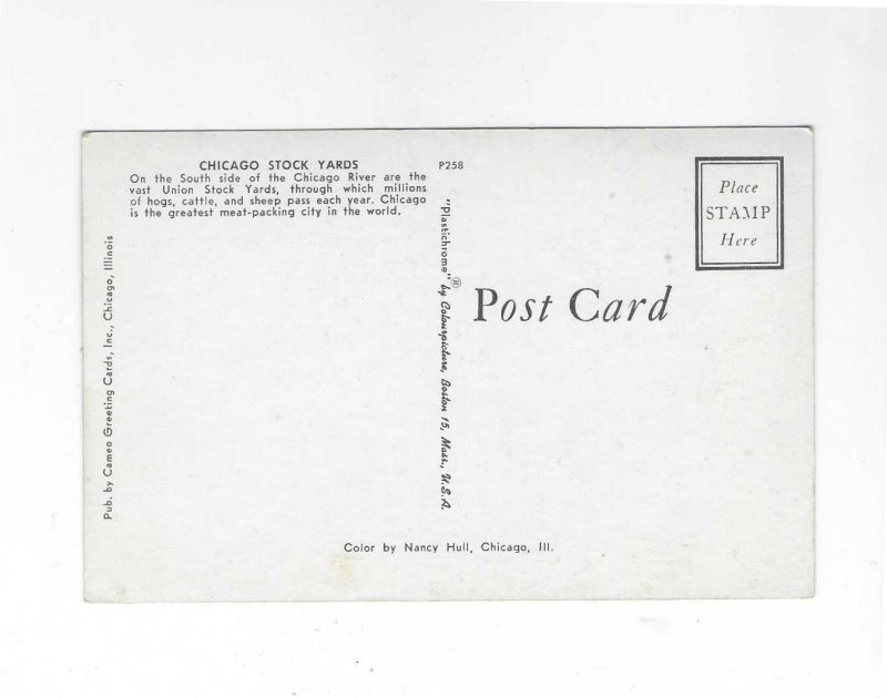Vtg 50's Chicago Stock Yards, Chicago, Illinois Postcard