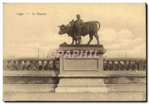 Old Postcard Liege Bouvier Taurus