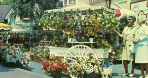 Postcard Flower Cart and Carnation Company Truck at Disneyland, CA.   S6