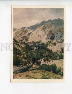 3130970 ALBANIA mountain landscape old postcard