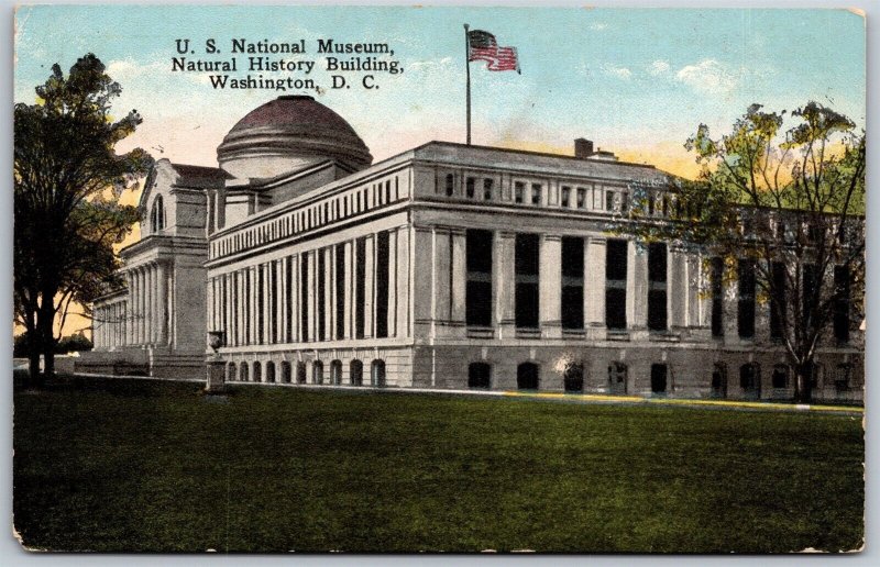 Vtg Washington DC US National Museum Natural History Building 1910s Postcard