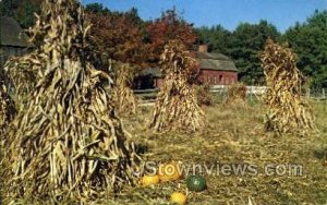 Farm Field, Pliny Freeman Farm - Sturbridge, Massachusetts MA Postcard
