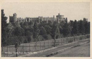 Berkshire Postcard - Windsor Castle From The Home Park   RS24372