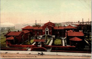 Vtg 1910's Museum University of Pennsylvania Philadelphia PA Postcard