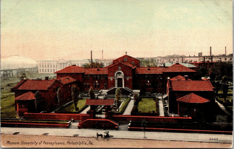 Vtg 1910's Museum University of Pennsylvania Philadelphia PA Postcard