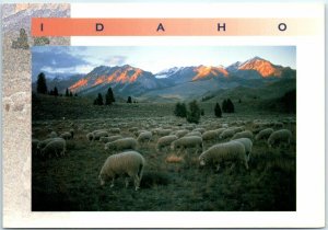 Postcard - Idaho