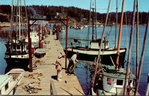 Washington/Oregon West Coasr Pacific Ocean Fishing Fleet