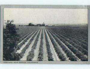 Unused 1940's VINEYARD FOR WINE MAKING Merced California CA Q8304