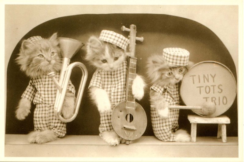 Humor - Dressed Kittens Tiny Tots Trio