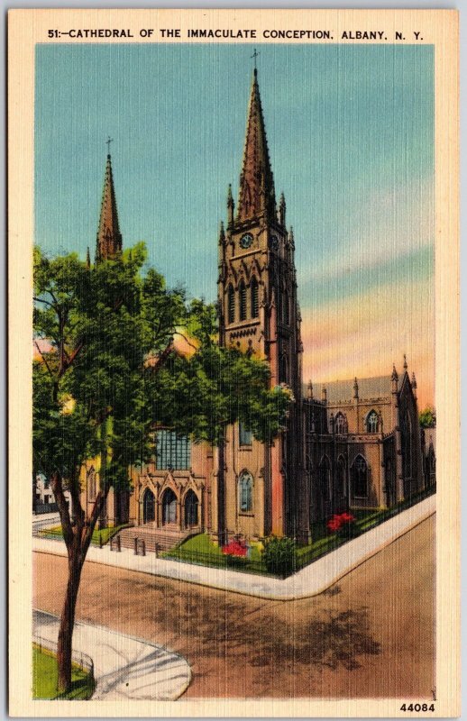 Albany NY-New York, Cathedral Of Immaculate Conception Street View Postcard