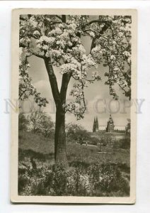 3087191 CZECHIA Praha castle Vintage photo PC