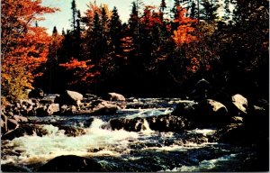 Corner Brook Stream Autumn Newfoundland Canada Postcard VTG UNP Plastichrome 
