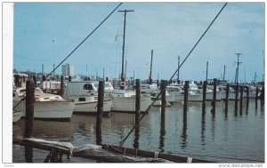 Yacht Basin , CHARLESTON , South Carolina , 50-60s