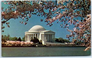 M-58241 Jefferson Memorial And Cherry Blossoms Washington District of Columbia