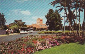 Florida Tamp Entrance To Busch Gardens