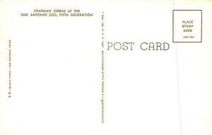 Chapman Zebras Zebra Unused 