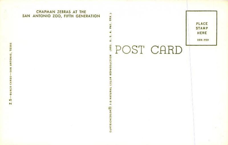 Chapman Zebras Zebra Unused 