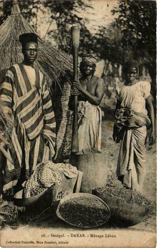 CPA AK Fortier 16, Dakar- Ménage Lébou, SENEGAL (761676)