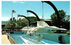 Whaler's Village Shops Restaurants Giant Whale Bone Display Maui Postcard