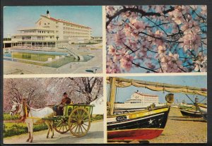 Portugal Postcard - Hotel Vasco Da Gama, Algarve, Gordo  G429