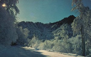 Vintage Postcard Snowy Smoky Trail U.S. Highway 441 Winter Snowfalls Great Smoky