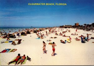 Florida Clearwater Beach View Showing Sun Bathers