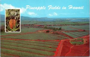 postcard Hawaii HI - Dole Pineapple Fields