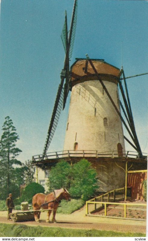 WINDMILL , Dutch , Moulin a Vent , 1950-60s