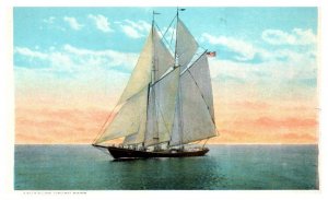 Schooner Henry Ford Boat Divide Back Postcard