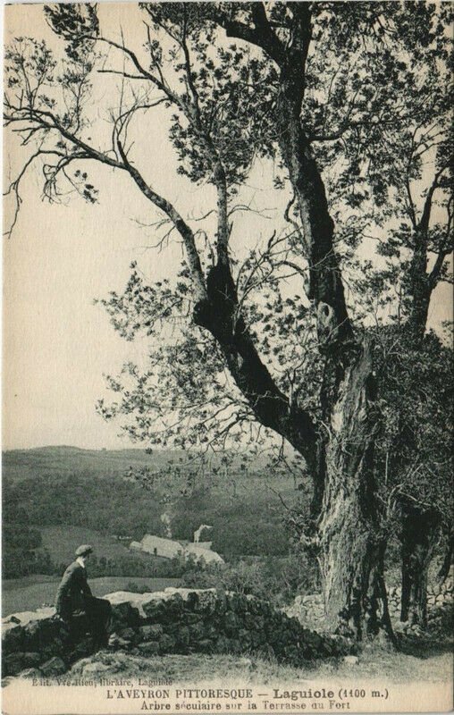 CPA LAGUIOLE - Arbre seculaire sur la Terrasse du Fort (133329)