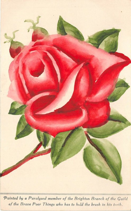 Lot306 rose painted of a paralysed member of the brighton branch postcard uk