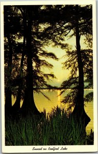 Sunset on Reelfoot Lake, Reelfoot Lake State Park Tipton TN Vtg Postcard H34