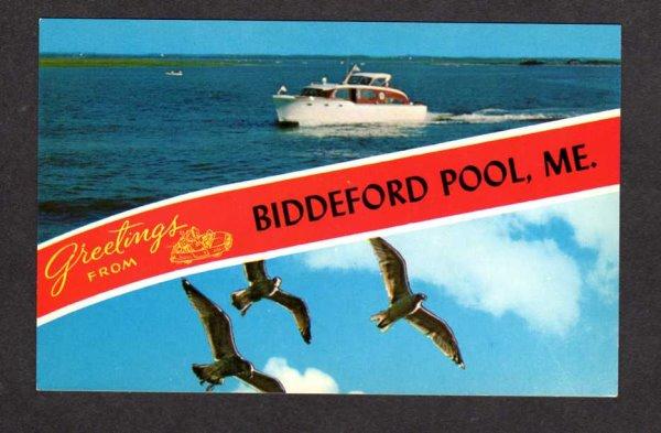 ME Greetings From Biddeford Pool MAINE Postcard Striped Boats Gulls  Near Saco