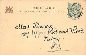 1908 Raphael Kirchner Flower Beautiful Woman Postcard