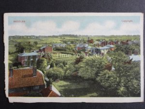 Suffolk BECCLES Panoramic View - Old Postcard