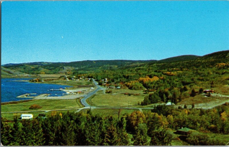 C1950s Cypress Hills Provincial Park Postcard Camping Grounds Motels Scenery