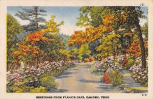 Camden Tennessee Scenic Roadway Greeting Antique Postcard K87914