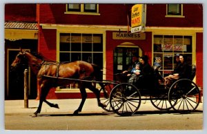Mennonite Horse & Buggy, St Jacobs, Waterloo County, Ontario, 1967 Postcard