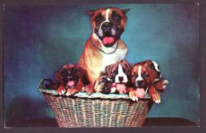 Dogs Post Card PC2133
