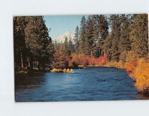 Postcard Metolius River & Mt. Jefferson, Central Oregon