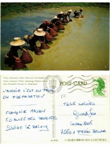 CPM AK THAILAND-Thai Farmers catching Fishes from the Flooded Farms (334969)