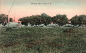 Vintage Postcard Willows Grand Pre Field Nova Scotia Canada R.H. Davis & Company