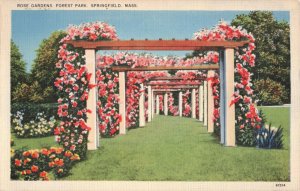 Circa 1939 Rose Garden Forest Park Springfield Mass. Postcard 2T7-139