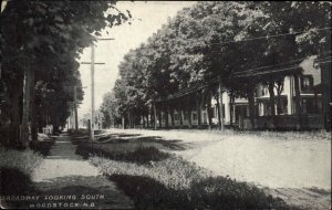 Woodstock New Brunswick NB Broadway Looking South c1910 Vintage Postcard